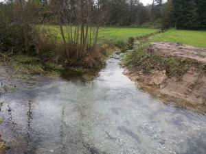 Melioracijski kanal jeseni po čiščenju Poljška.